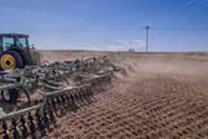 07 Fallow Master Orthman